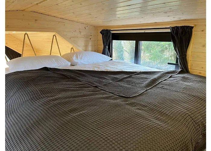 Lisi Grun Tiny House By Tiny Away